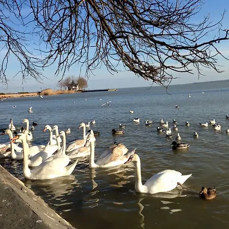 Fecske Apartamento Hévíz