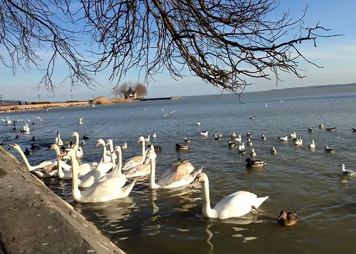 Fecske Vendeghaz Apartmán Hévíz